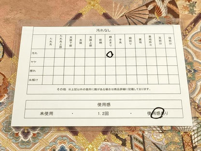平和屋着物■六通柄袋帯 唐織 絢爛格天井画 金糸 正絹 逸品 DAAL4848tw