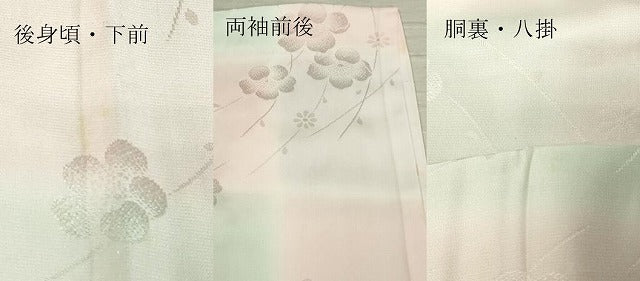 平和屋着物■長襦袢 袷 枝花地紋 暈し染め 正絹 逸品 DAAL6110fc