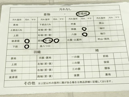 平和屋着物■長襦袢 袷 枝花地紋 暈し染め 正絹 逸品 DAAL6110fc