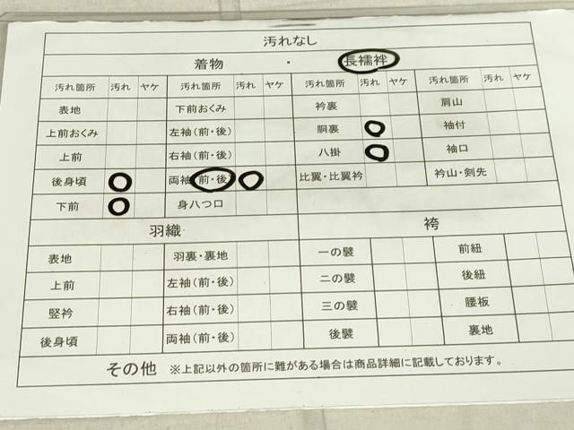 平和屋着物■長襦袢 袷 枝花地紋 暈し染め 正絹 逸品 DAAL6110fc