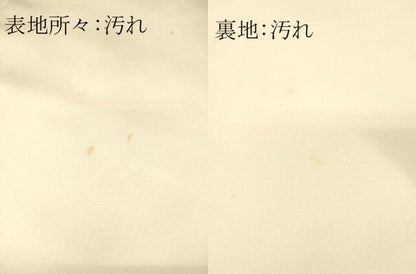 平和屋着物■六通柄袋帯　唐織　幽玄の美　金糸　正絹　逸品　DAAM4021ar
