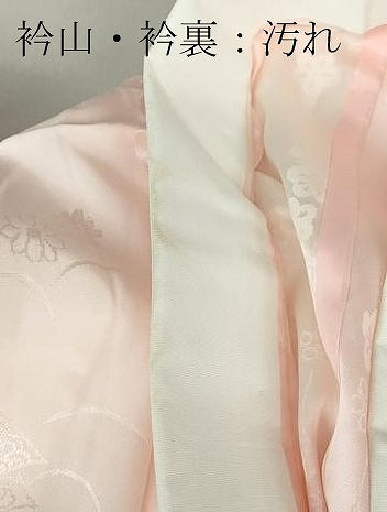 平和屋着物■長襦袢 無双仕立て 几帳花地紋 暈し染め 正絹 逸品 DAAO0873xg
