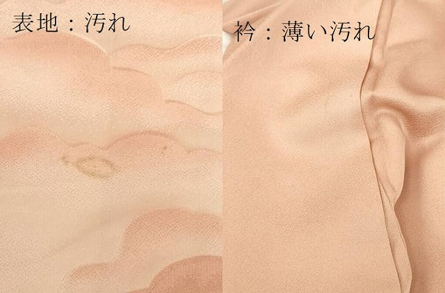 平和屋着物■色留訪問着　地紋起こし　雲文　暈し染め　正絹　逸品　DAAO3567ob