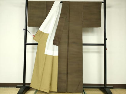 平和屋着物■上質な小紋　霞文　暈し染め　正絹　逸品　DAAO7639cm