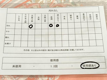 平和屋着物◎六通柄袋帯 唐織 正倉院花文 金銀糸 正絹 逸品 DAAP2338qa