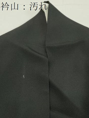 平和屋着物■豪華黒留袖　雲霞宝尽くし文　金彩　正絹　逸品　DAAP2779ud
