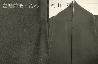 平和屋着物■豪華黒留袖 風景文 正絹 逸品 DAAP5673tw