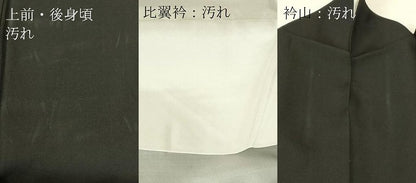 平和屋着物■豪華黒留袖 駒刺繍 風景松文 金彩 正絹 逸品 DAAP6071cm