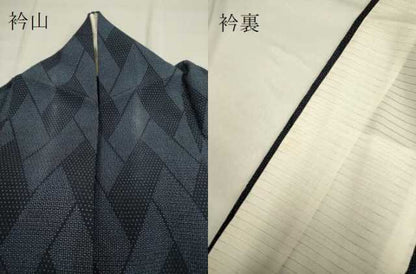 平和屋着物▽本塩沢　単衣　110亀甲　幾何学文様　正絹　逸品　DAAP7413du