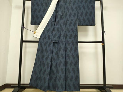 平和屋着物▽本塩沢　単衣　110亀甲　幾何学文様　正絹　逸品　DAAP7413du