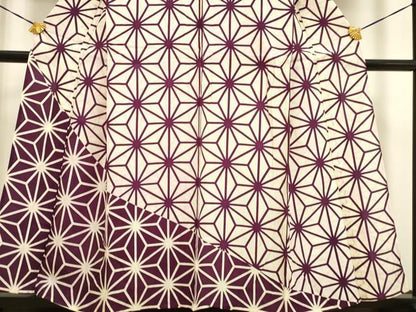 平和屋着物▽訪問着 単衣 麻の葉文様 正絹 逸品 DAAP7474du