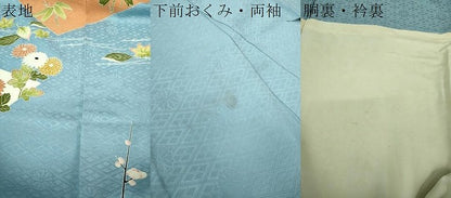 平和屋着物●お引きずり・お引き摺り　訪問着　和装　舞台　舞妓　芸妓　芸者　衣装　背抜き仕立て　吉祥吹き寄せ花文　逸品　DAAQ2916ps