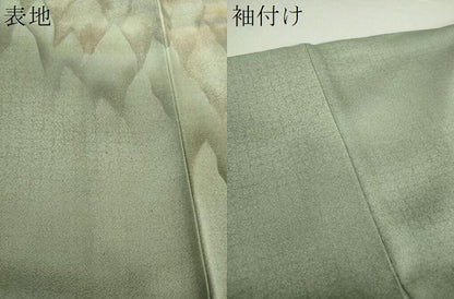 平和屋着物●訪問着 樹林地紋 暈し染め 金彩 正絹 逸品 DAAQ3238ps