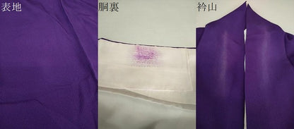 平和屋着物●訪問着 駒刺繍 総刺繍 舞蝶花車文 暈し染め 金糸 正絹 逸品 DAAQ3287ps