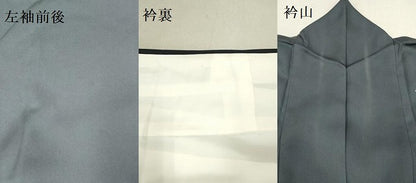 平和屋着物●訪問着　駒刺繍　総刺繍　雪輪に休み鳥　正絹　逸品　DAAR0133yyy