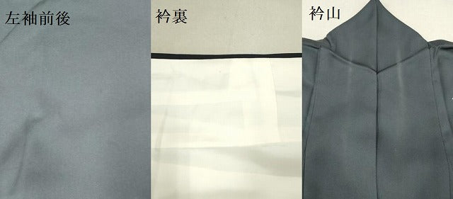 平和屋着物●訪問着　駒刺繍　総刺繍　雪輪に休み鳥　正絹　逸品　DAAR0133yyy