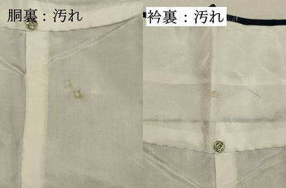 平和屋着物●本場琉球絣 紬 正絹 逸品 DAAR4475tw