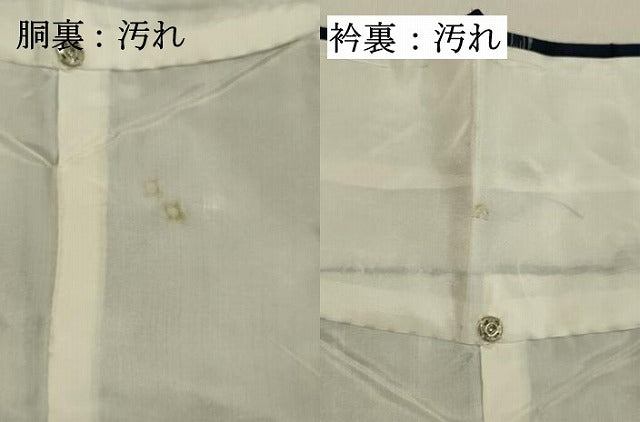 平和屋着物●本場琉球絣 紬 正絹 逸品 DAAR4475tw