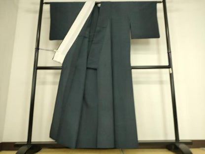 平和屋着物▽本塩沢 単衣 110亀甲 総詰め 正絹 逸品 DAAS0067az