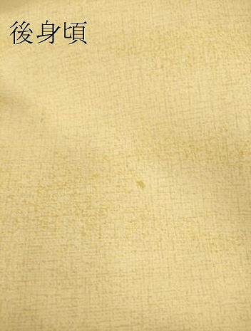 平和屋着物▽本場染大島紬 単衣 霞文 正絹 逸品 DAAS0078az