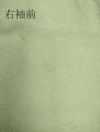 平和屋着物▽江戸小紋 単衣 鮫小紋柄 正絹 逸品 DAAS0086az
