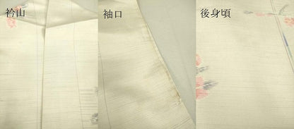 平和屋着物▽上質な紬 単衣 花間道 正絹 逸品 DAAS0121az
