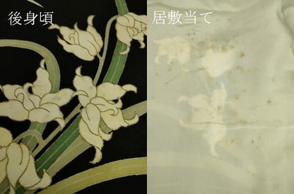 平和屋着物▽豪華黒留袖 単衣 友禅 霞花文 金彩 正絹 逸品 DAAS0195az