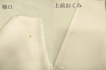 平和屋着物▽訪問着 単衣 花尽くし 正絹 逸品 DAAS0225az