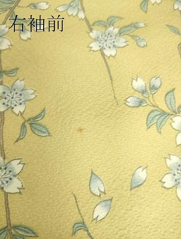 平和屋着物▽上質な小紋 単衣 枝桜文 正絹 逸品 DAAS0239az