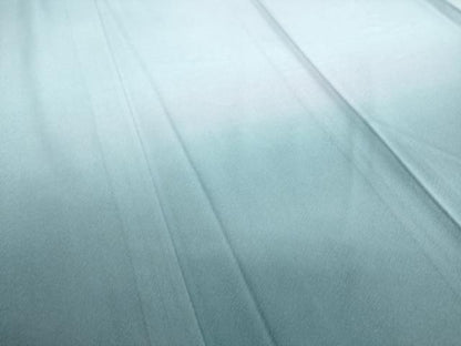 平和屋着物▽訪問着 単衣 霞文 暈し染め 正絹 逸品 DAAS0255az