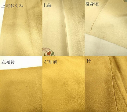 平和屋着物▽訪問着 単衣 総刺繍 花丸文 暈し染め 金糸 正絹 逸品 DAAS0267az