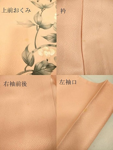 平和屋着物▽訪問着 単衣 枝花文 手描き 正絹 逸品 DAAS0277az