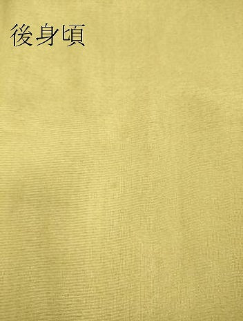 平和屋着物▽訪問着 無双 紗袷 紗×絽 吉祥花文 暈し染め 正絹 逸品 DAAS0291az