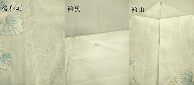 平和屋着物▽上質な紬 単衣 葡萄蔦の葉文 正絹 逸品 DAAS0302az