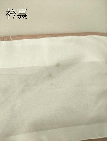 平和屋着物▽生紬 単衣 虹色 正絹 逸品 DAAS0321az