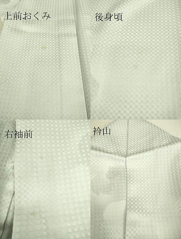 平和屋着物▽上質な小紋 単衣 舞花文 暈し染め 金彩 正絹 逸品 DAAS0339az