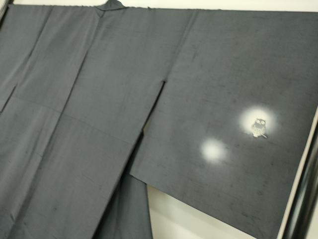 平和屋着物▽十日町 名門青柳謹製 赤城紬 訪問着 単衣 ふくろう 蛍暈し 正絹 逸品 DAAS0462az