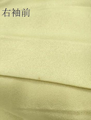 平和屋着物▽訪問着 単衣 雪輪花文 金彩 正絹 逸品 DAAS0581az