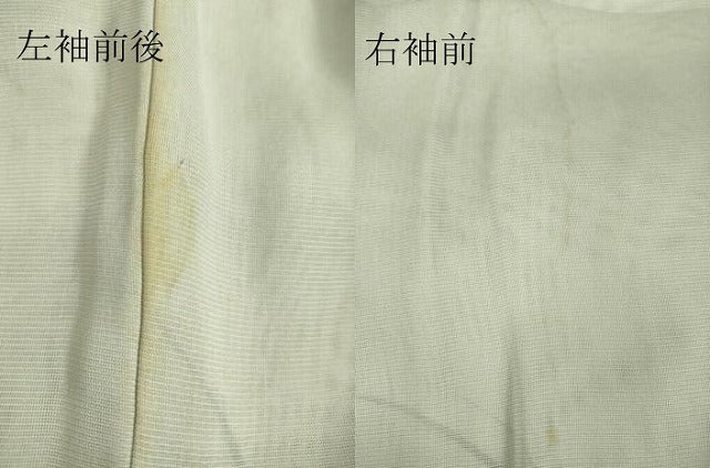 平和屋着物▽松尾光琳 色留袖 無双 絽袷 絽×絽 竹図 銀彩 正絹 逸品 DAAS0598az