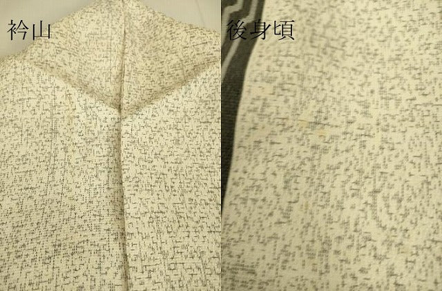 平和屋着物▽上質なお召 単衣 間道 正絹 逸品 DAAS0696az