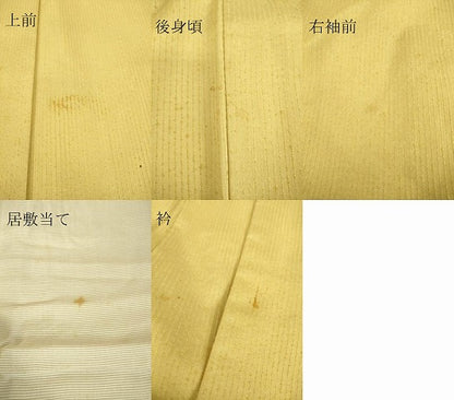 平和屋着物▽上質な紬 単衣 芥子色 正絹 逸品 DAAS0710az