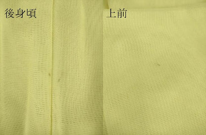平和屋着物▽訪問着 無双 紗袷 紗×絽 紫陽花 正絹 逸品 未使用 DAAS0714az