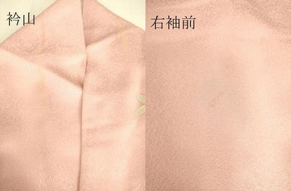 平和屋着物▽訪問着 単衣 菊牡丹文 暈し染め 金彩 正絹 逸品 DAAS0724az