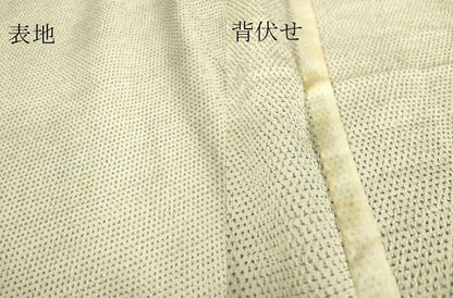 平和屋着物▽本塩沢　単衣　蚊絣　正絹　逸品　DAAS0738az