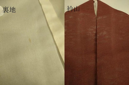 平和屋着物▽色留訪問着 無双 紗袷 紋紗×紗 葡萄茶色 正絹 逸品 DAAS0745az