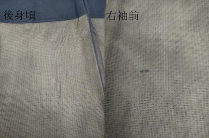 平和屋着物▽訪問着 無双 紗袷 紗×絽 草花文 正絹 逸品 DAAS0790az