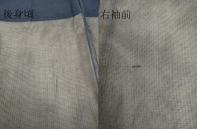 平和屋着物▽訪問着 無双 紗袷 紗×絽 草花文 正絹 逸品 DAAS0790az