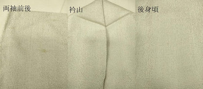 平和屋着物▽本塩沢 訪問着 単衣 やまだ織 童子 正絹 逸品 DAAS0801az