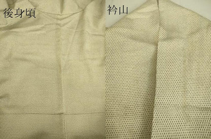 平和屋着物▽本塩沢 単衣 蚊絣 星野謹製 証紙付き 正絹 逸品 DAAS0955az