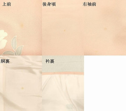 平和屋着物●訪問着 枝花文 暈し染め 金彩 正絹 逸品 DAAS2069tw